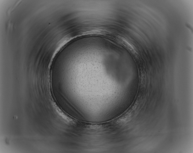 X0000091310800200708241112