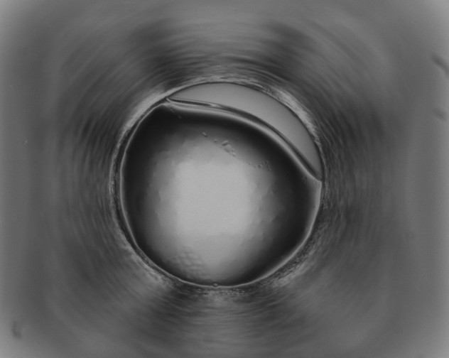 X0000091310803200708241112