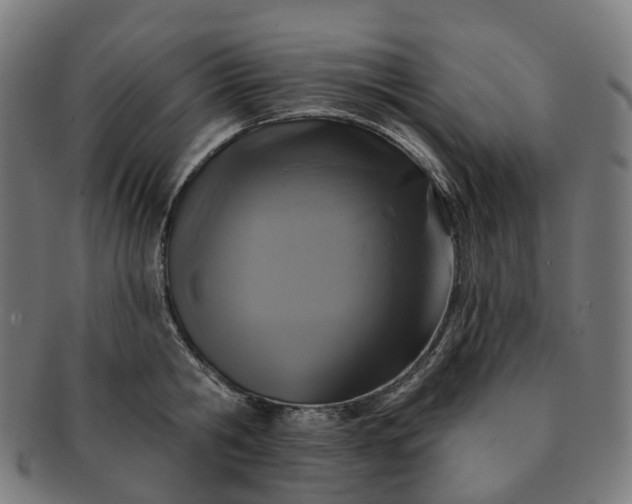 X0000091310806200708241112