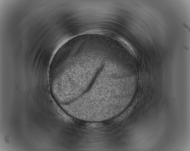 X0000091310808200708241112