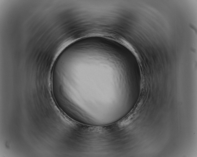 X0000091310811200708241112