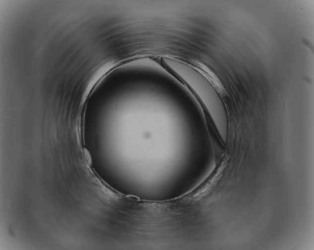 X0000091310812200708241112