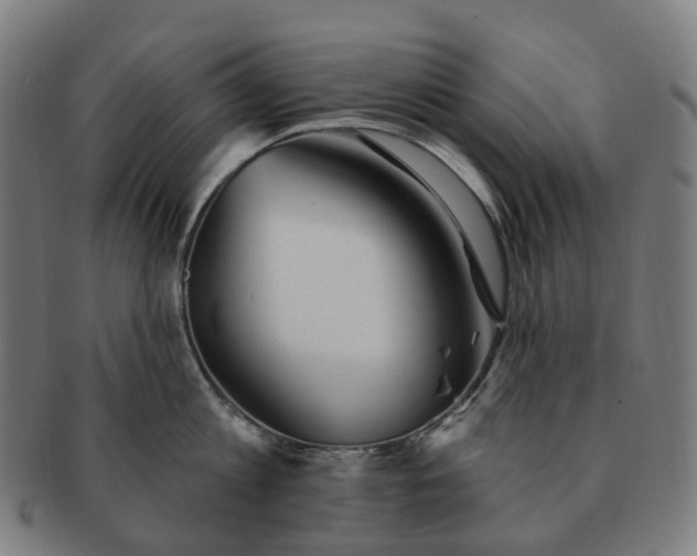 X0000091310813200708241112