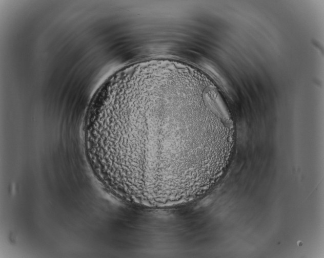 X0000091310814200708241112