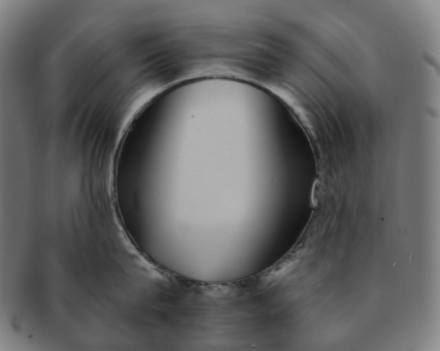 X0000091310815200708241112