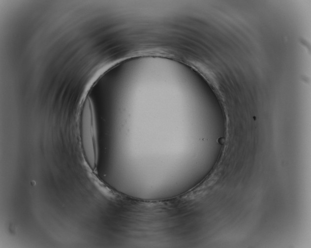 X0000091310816200708241112