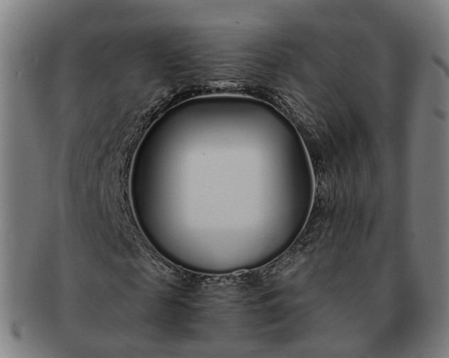 X0000091310817200708241111