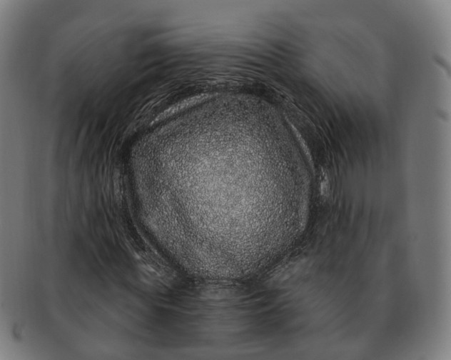 X0000091310819200708241111