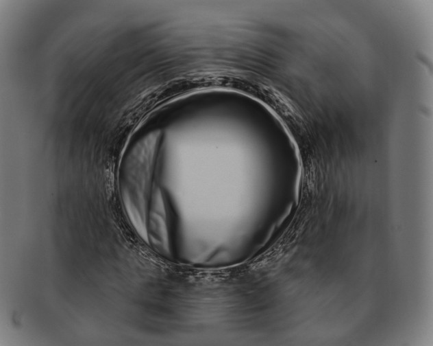 X0000091310821200708241111