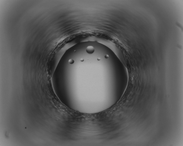 X0000091310822200708241111