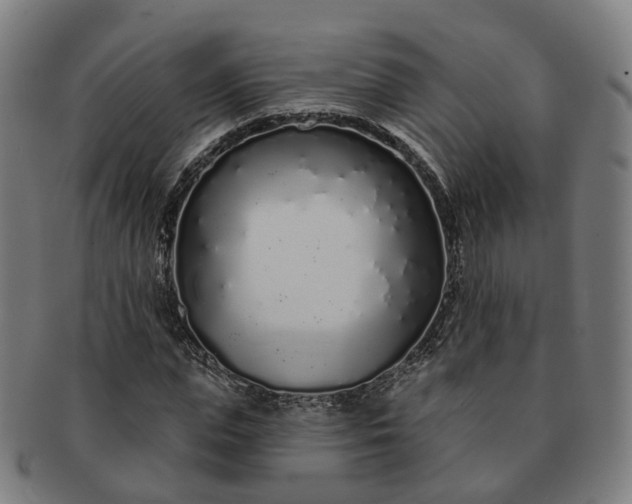 X0000091310823200708241111