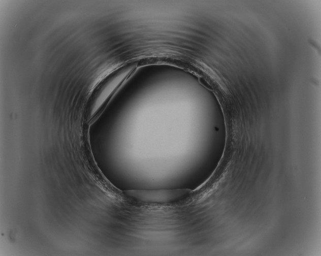 X0000091310826200708241112