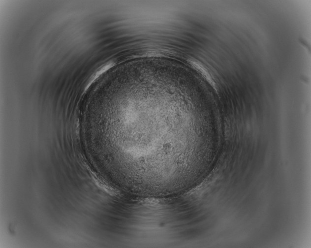 X0000091310827200708241112