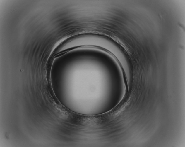 X0000091310830200708241112