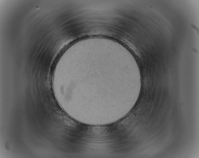 X0000091310832200708241112