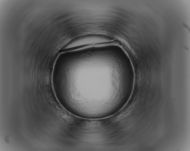 X0000091310833200708241112