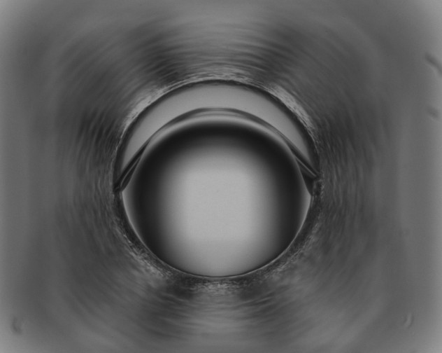 X0000091310834200708241112