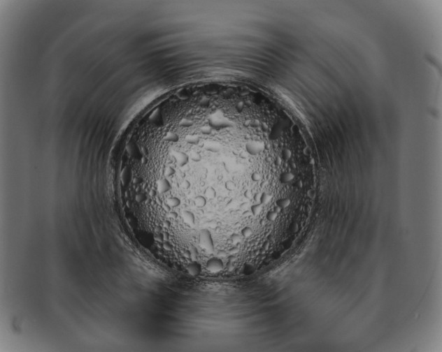 X0000091310835200708241112