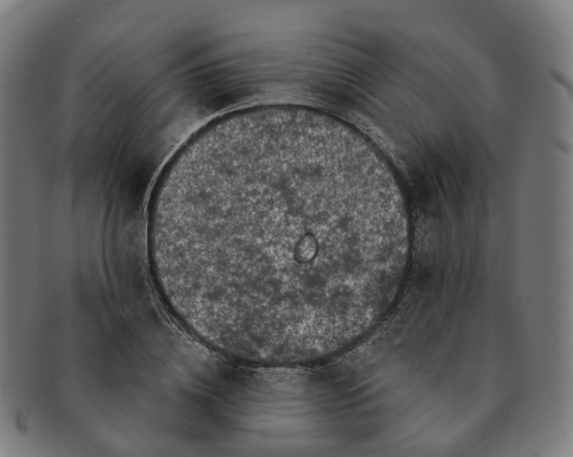 X0000091310836200708241112