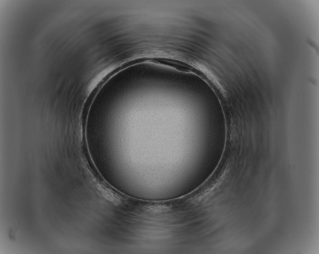 X0000091310837200708241112