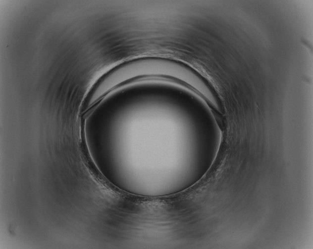 X0000091310838200708241112