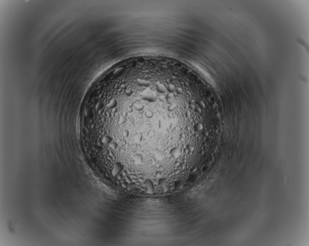 X0000091310839200708241112