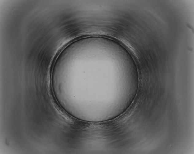 X0000091310840200708241112