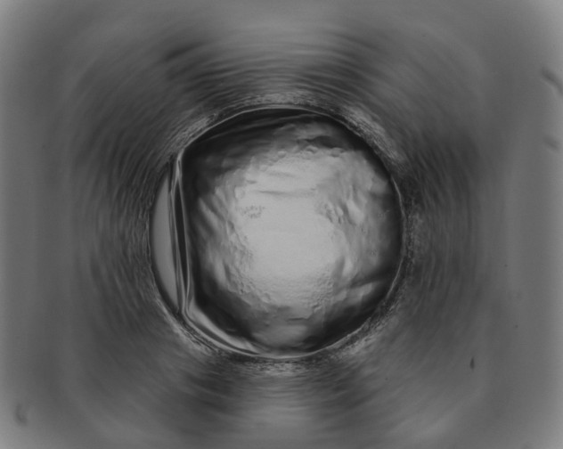 X0000091310841200708241112