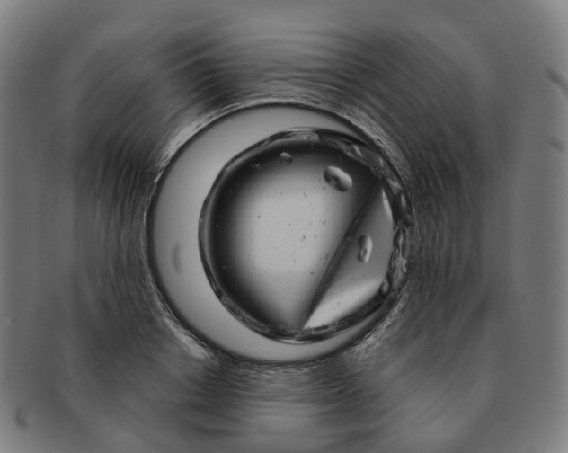 X0000091310842200708241112