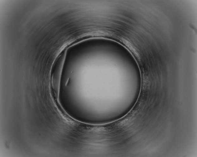 X0000091310845200708241112