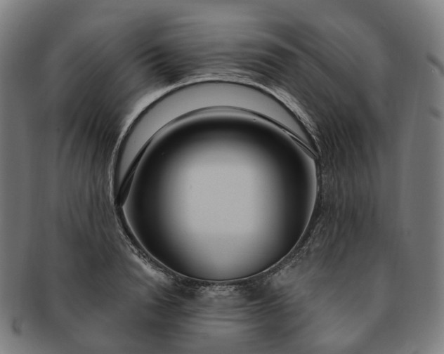 X0000091310846200708241112