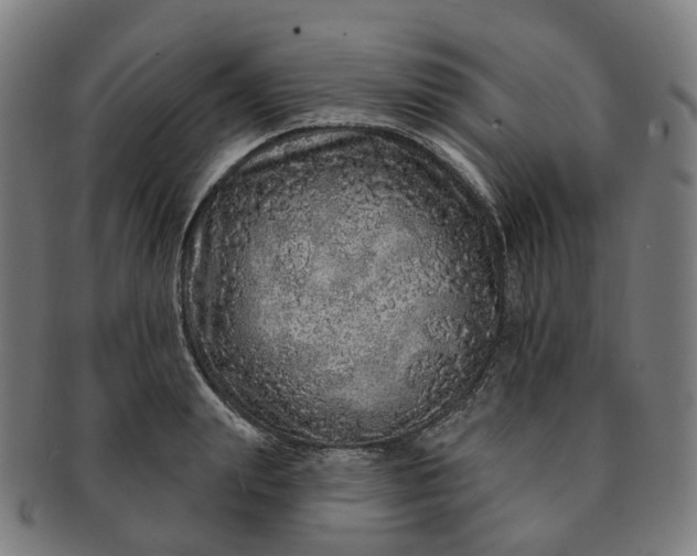 X0000091310847200708241112