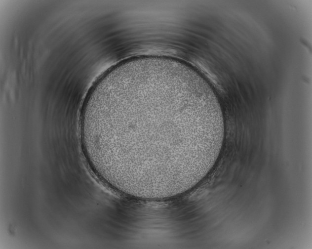 X0000091310848200708241112