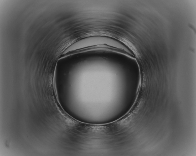 X0000091310849200708241112