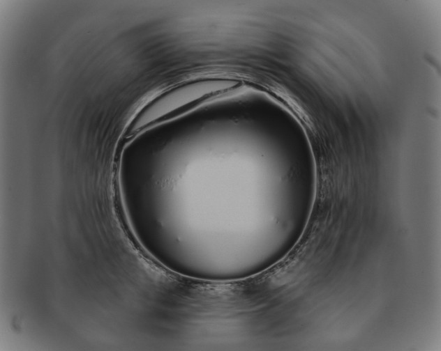 X0000091310853200708241112