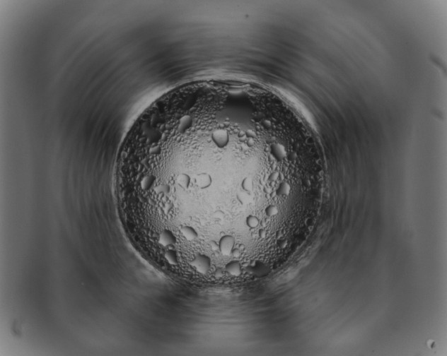 X0000091310855200708241112