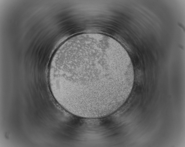 X0000091310856200708241112