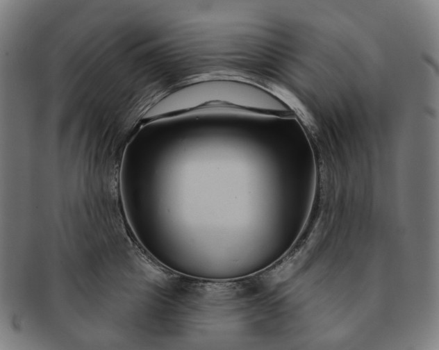 X0000091310857200708241112