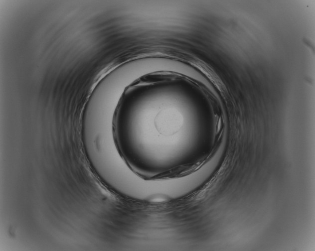 X0000091310858200708241112