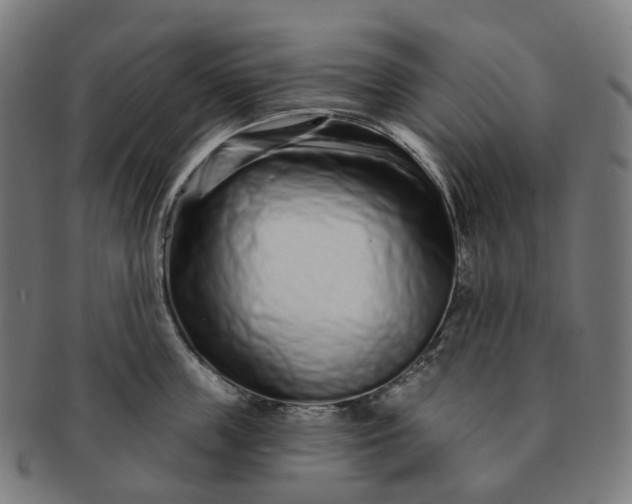 X0000091310859200708241112