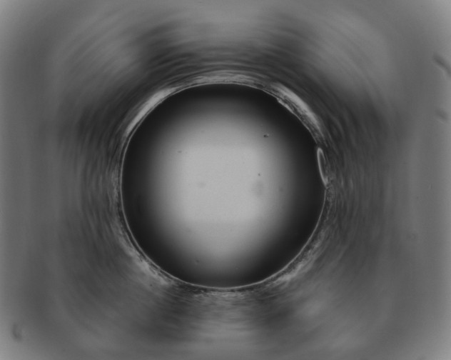 X0000091310860200708241112