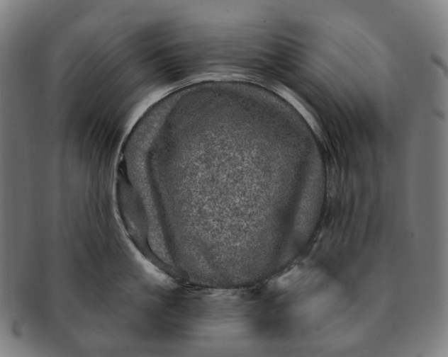 X0000091310861200708241112