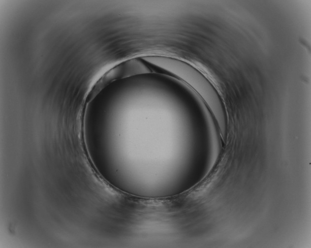 X0000091310862200708241112