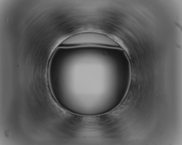 X0000091310863200708241112