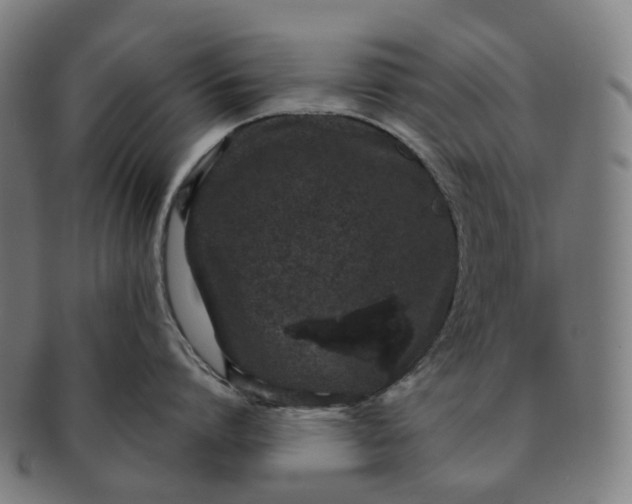 X0000091310864200708241112