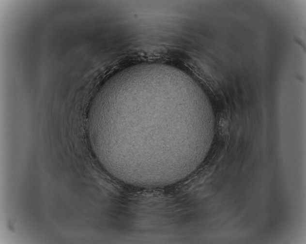 X0000091310865200708241111