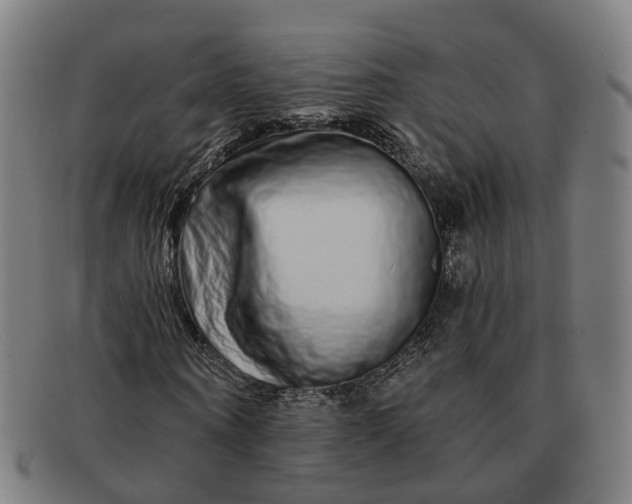 X0000091310866200708241111