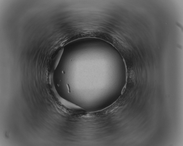 X0000091310868200708241111