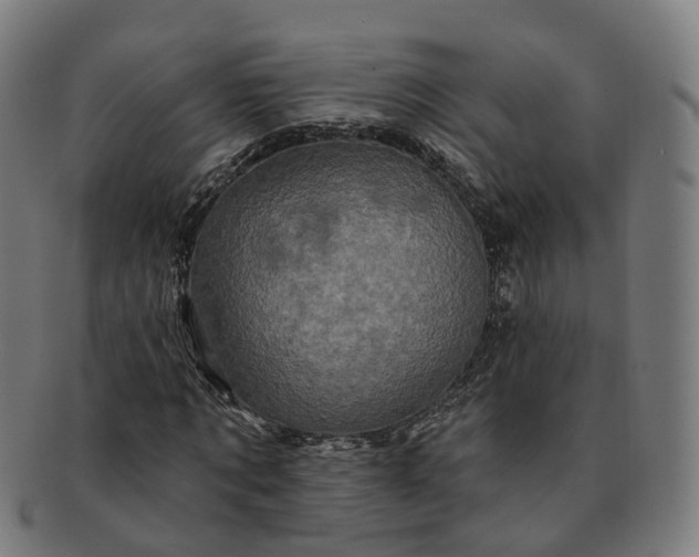 X0000091310869200708241111