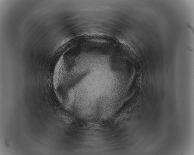 X0000091310870200708241111